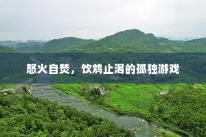 怒火自焚，饮鸩止渴的孤独游戏