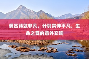 偶然铸就非凡，计划常伴平凡，生命之舞的意外交响