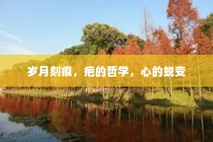 岁月刻痕，疤的哲学，心的蜕变