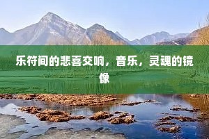 乐符间的悲喜交响，音乐，灵魂的镜像