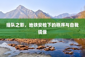 插队之影，地铁安检下的秩序与自我镜像