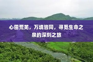 心田荒芜，万境皆同，寻觅生命之泉的深刻之旅