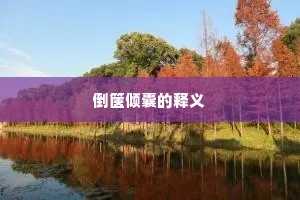 倒箧倾囊的释义