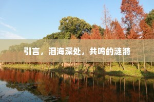 引言，泪海深处，共鸣的涟漪