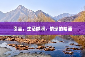 引言，生活微澜，情感的暗涌