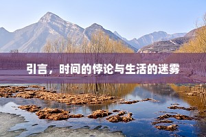 引言，时间的悖论与生活的迷雾