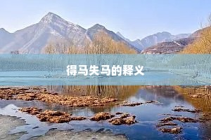 得马失马的释义