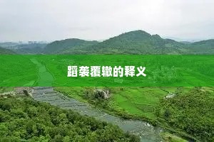 蹈袭覆辙的释义