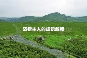 盗憎主人的成语解释