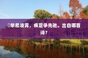 创造之火，熔铸人生欢歌——爱情、天才与行动的不朽乐章