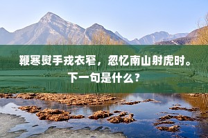 假惺惺的释义