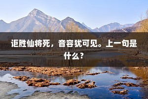 血滴之路，以瘦削之躯，绘就生命华章