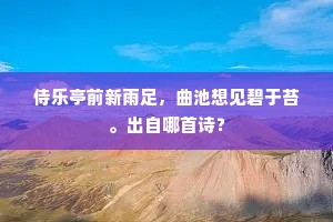 天赋之美，不及德行之光，价值在共鸣中绽放