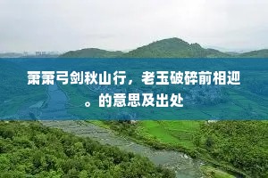 解锁潜能之巅，以高驭低，铸就非凡人生