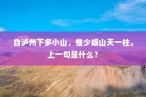 家无二主的解释