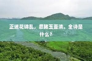 家至户察的成语解释