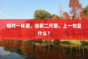 知识之光，心灵之锚，权威源自内心的觉醒