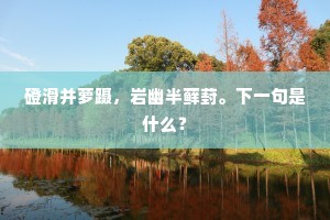坚守信仰之光，踏稳理论基石，破谣言迷雾
