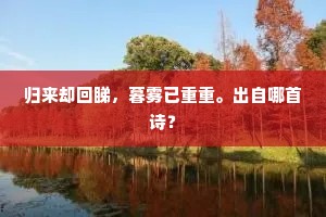 孀居重见古今悲，一室双贞天下奇。的意思及出处