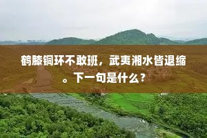 迢递清溪上，相思对月明。下一句是什么？