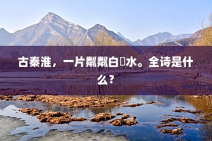 奸淫掳掠的解释