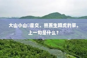 坚壁清野的成语解释