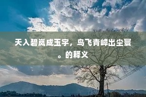 愿得东风解人意，片帆留住不还家。的解释