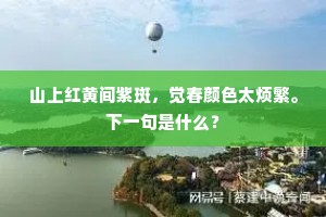 中宵耿耿梦难成，合眼须臾复自惊。上一句是什么？