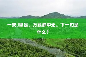 帘捲竹轩清，四邻无语声。的释义