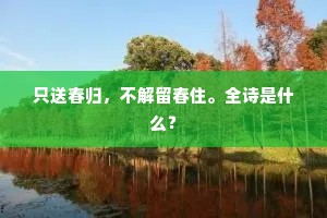 错落玉环才一束，磁瓶供上书旁。的解释