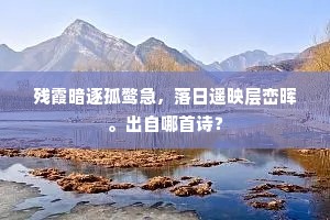 隔帘风竹晚萧萧，楼外谁家横笛弄清宵。出自哪首诗？