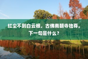 高举凌仙翰，双飞上层碧。出自哪首诗？