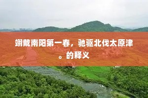 谁知久留滞，一旦乃适愿。的解释