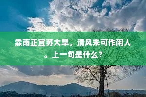 咄哉和氏璞，底事待三献。全诗是什么？