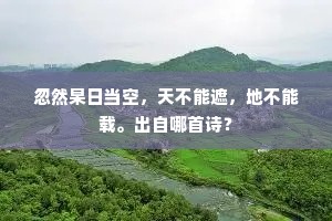 夜来有客欣相问，卖得文章几百金。的意思及出处