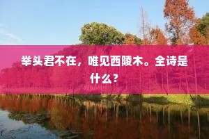 雪涛奔两涧，毛发竖清寒。下一句是什么？