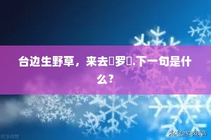 重逢当此夕，离别已三秋。下一句是什么？
