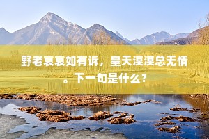 乡关何日到，篱菊想成丛。上一句是什么？