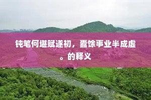 仰天但觉心如铁，览镜犹欣发未蓬。的解释