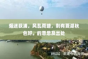 其颦其笑两瞢腾。百计留人帘外雨，的解释