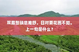 扁舟还独往，谁与论行藏。全诗是什么？