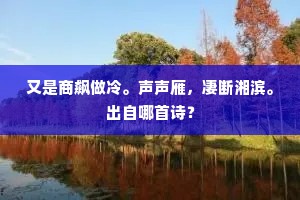 齐年宗契。标格神仙比。的释义