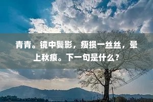西泠几度沧桑。君家犹剩荒庄。的解释