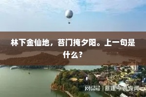 书帏近喜频瞻，啸歌学步，自是疏狂久。下一句是什么？