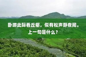 相逢不饮空归去，洞里桃花笑杀人。上一句是什么？