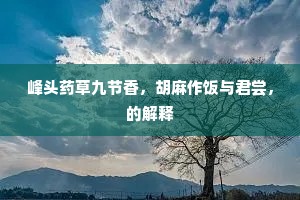 同心忽已别，昨事方成昔。全诗是什么？