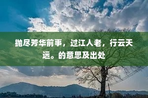 远途无数南征雁，好寄西来字八行。下一句是什么？