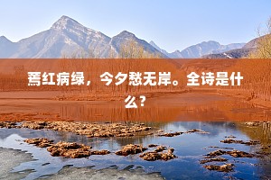 昭代应怜鹦鹉赋，丽情莫讶鹔鹴裘。的解释