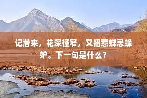知否酒醒今夜。出自哪首诗？