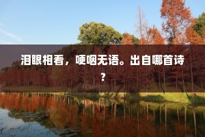 同心偶。分离久。的释义